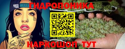 МДПВ Бийск
