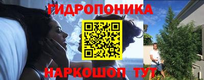 МДПВ Бийск