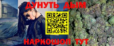МДПВ Бийск
