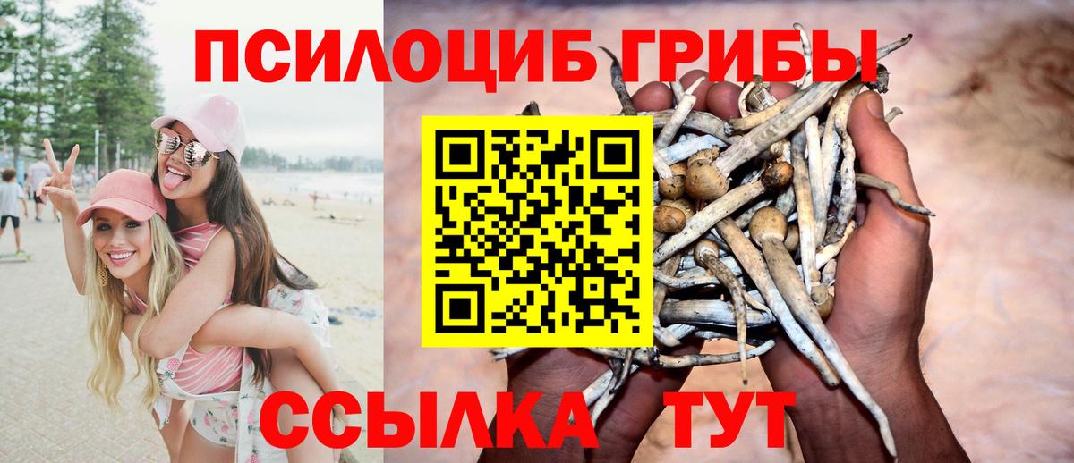 Керчь  закладка  Вход с VPN  Псилоцибиновые грибы Psilocybine cubensis 